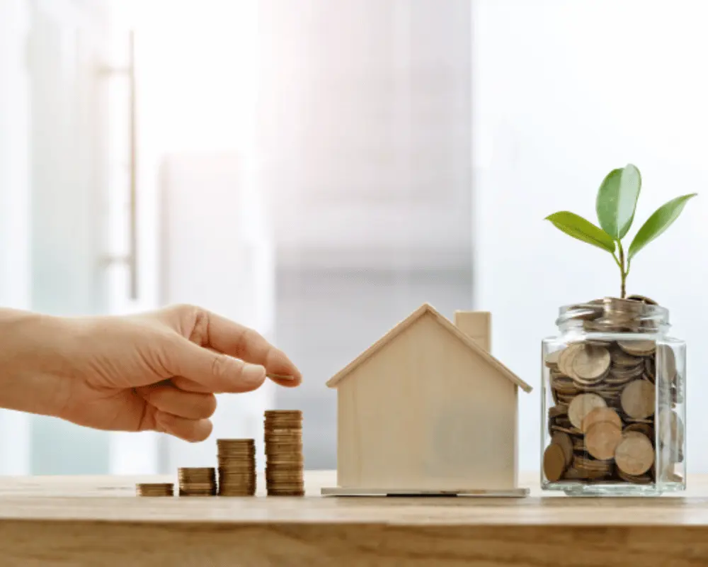 Portfolio Asset Management