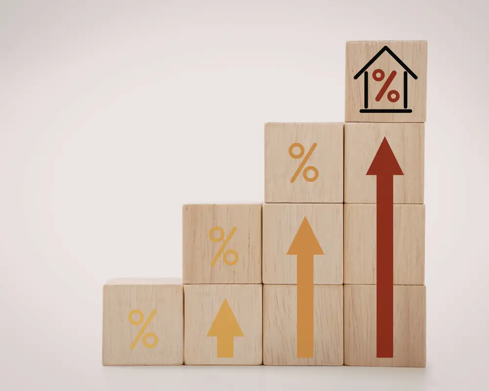 Portfolio Asset Management